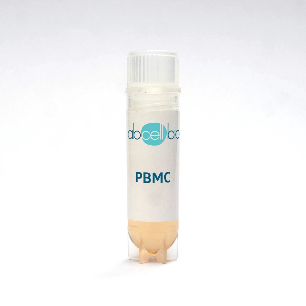 Cryotube with Human Adult Peripheral Blood Mononuclear Cells (PBMC)