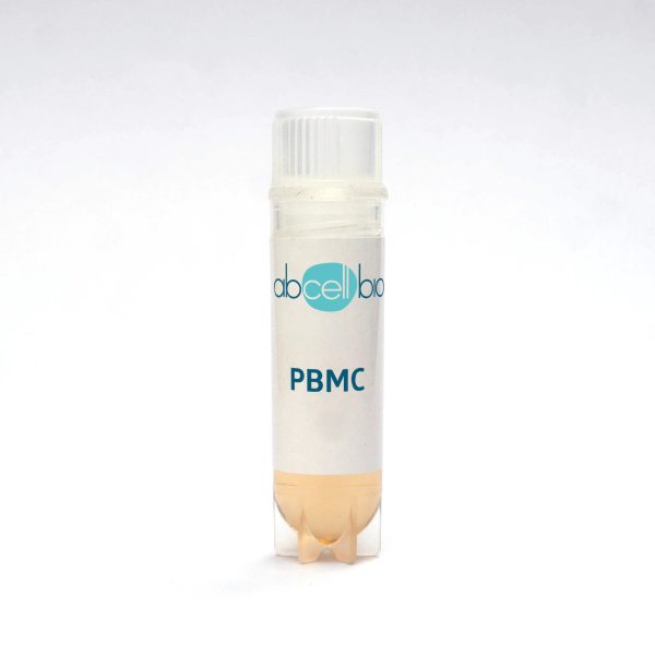 Human Adult Peripheral Blood Mononuclear Cells (PBMC) - Abcell-Bio